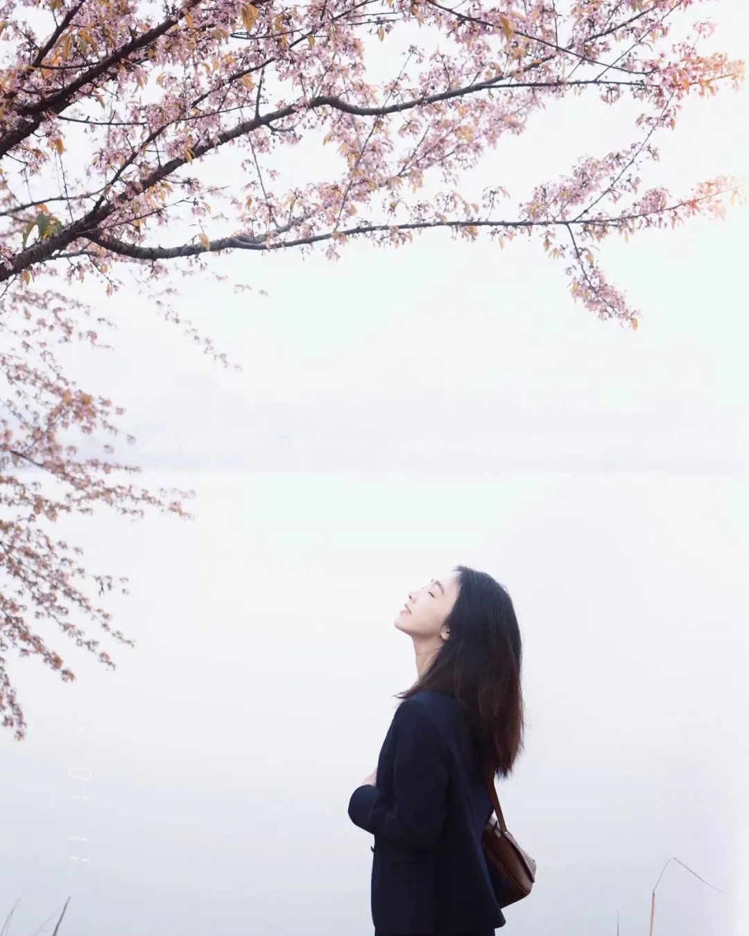 成都有哪些公园值得一去,成都必去的公园排行榜最新名单