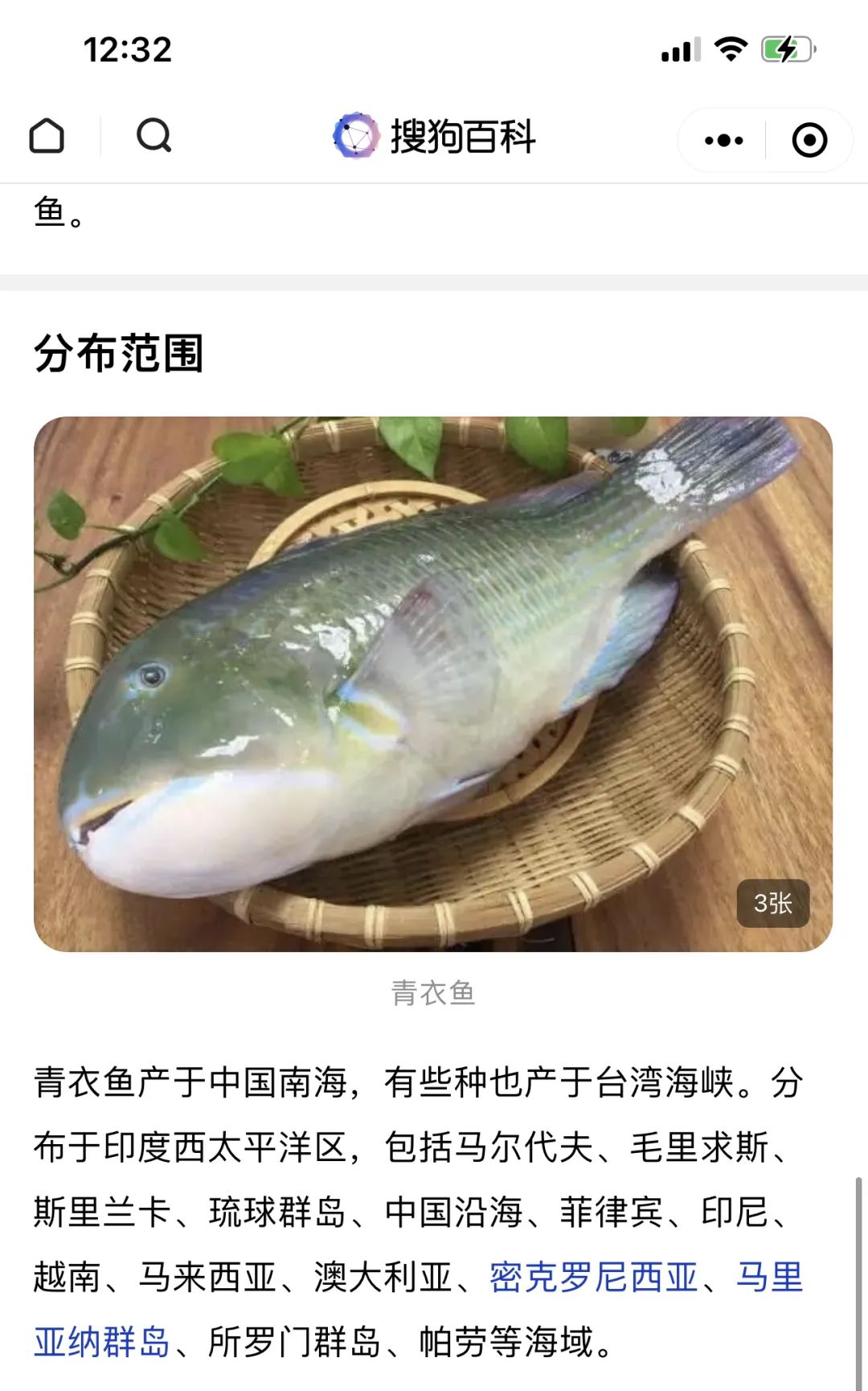 潮爸家7月20日午餐记录，尝鲜湛江野生青衣鱼，舌尖上的珍贵海鱼