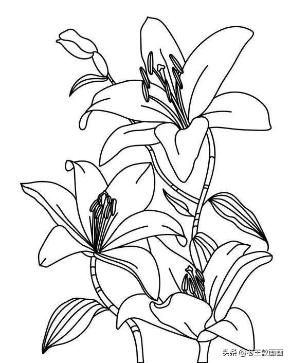 100种绘画基础入门,100幅零基础绘画教程