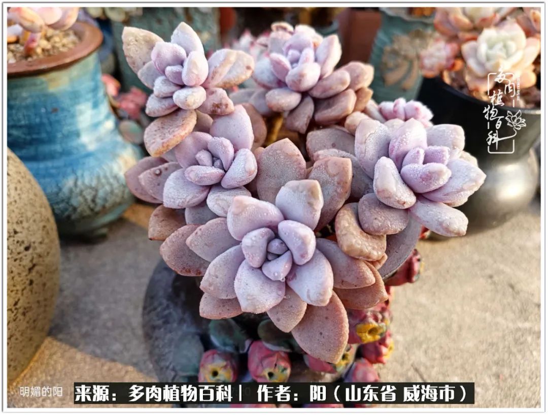 浜洪棿鐑熺伀鑷湁涓囧崈棰滆壊,浜洪棿鐑熺伀鐨嗘槸骞冲嚒棰滆壊