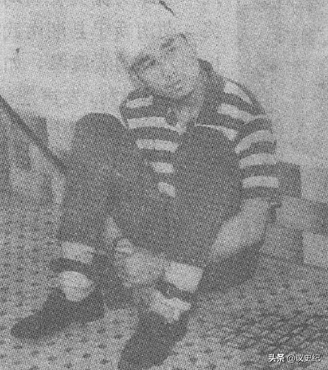 1955年，东莞一老农送菜路上捡了一袋“冬瓜”，竟牵出香港富商案