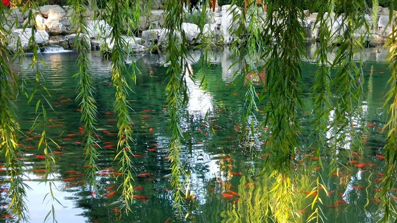 山东省济南市区域划分,山东省济南市哪个区发展最好