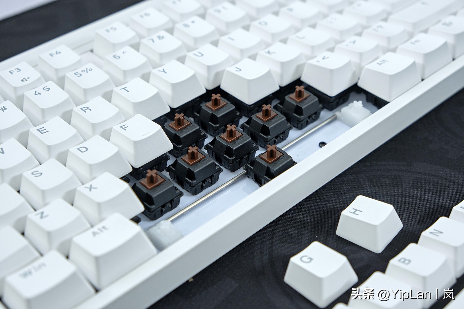 cherry澶栬鎺ㄨ崘,cherry澶栬鍜嬫牱