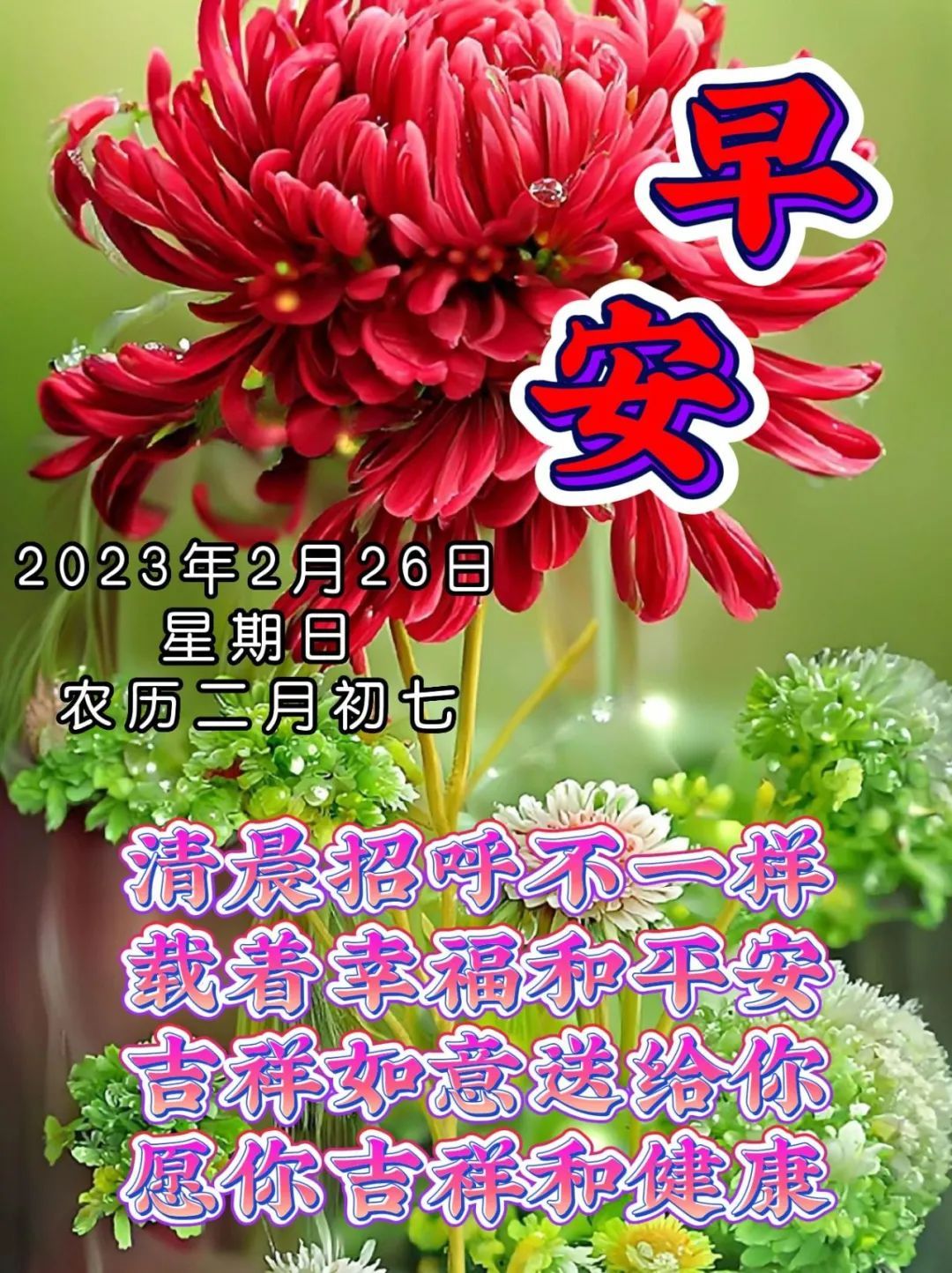 周二早上好问候带字图片大全,周三祝福大家早上好带字图片大全