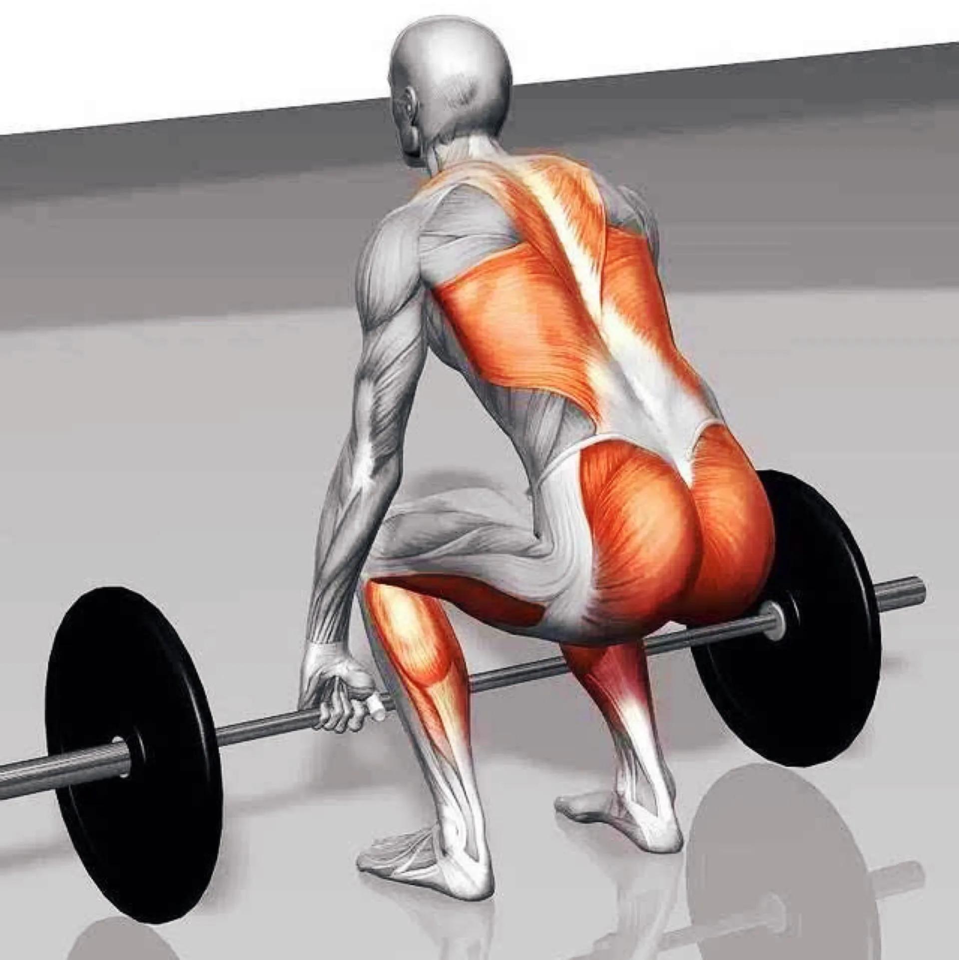 硬拉后腰肌恢复时间,硬拉腰总受伤怎么办