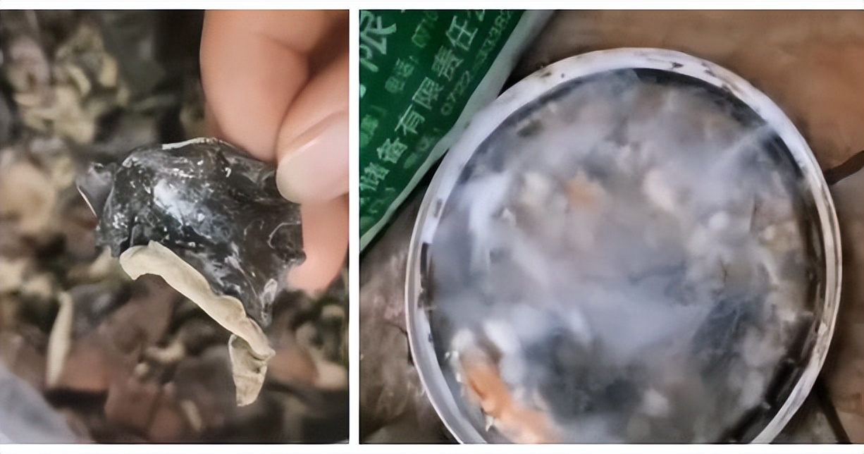 幼儿园收200多万学费开学前却闭园,幼儿园给孩子吃过期食品学费多少