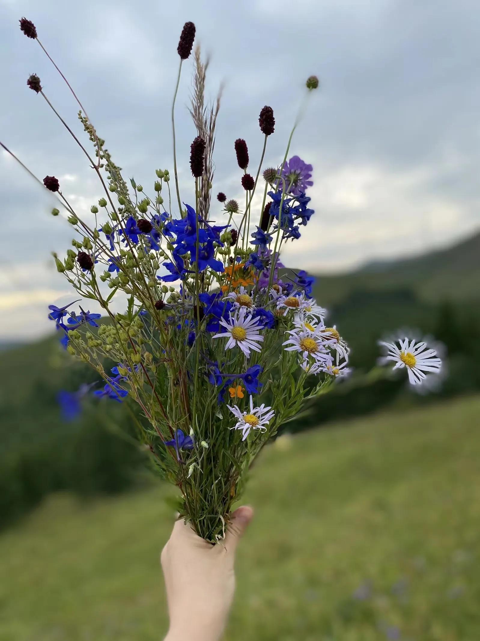 0511丽娣幸福日志第815篇