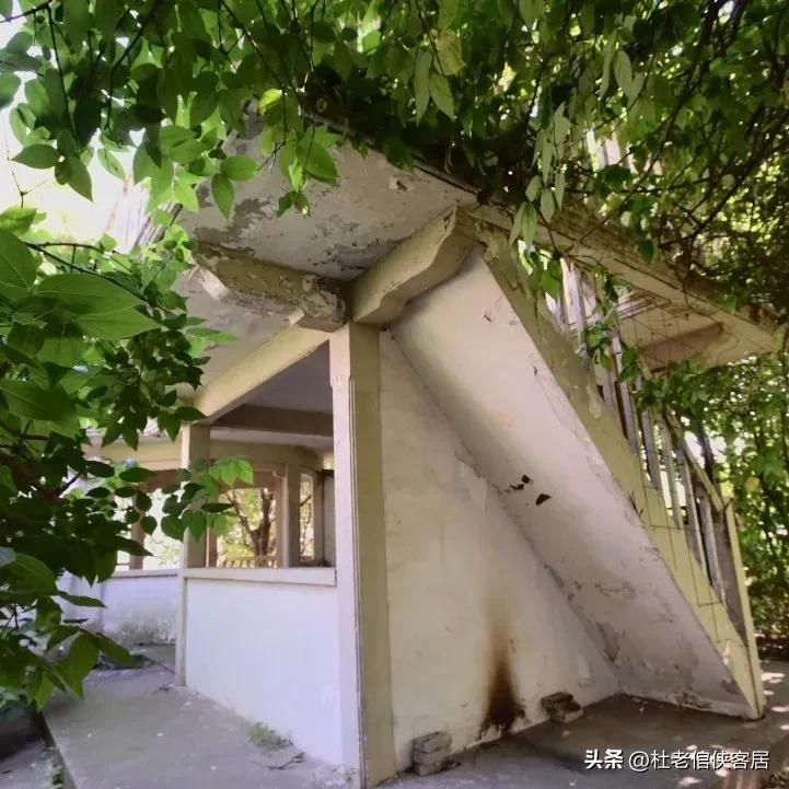 如风往事之——漫谈油菜花开与“白塔”