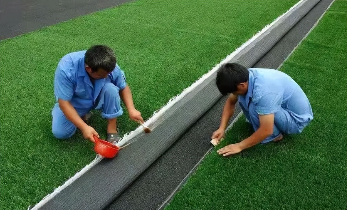 草坪养护撒石灰还是先播种,草坪养护是否复杂