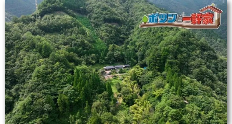 青岛姑娘买下日本小岛在哪个位置,中国女孩买下日本一小岛