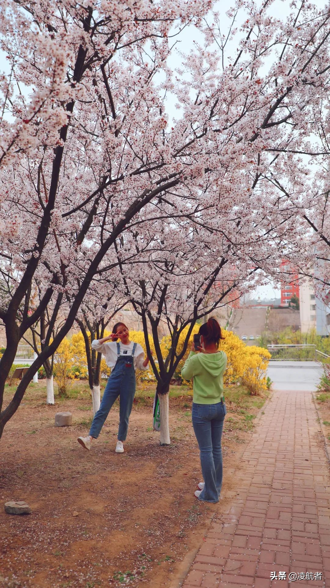 共赴春之约携手新征程,共赴春天之约携手砥砺前行