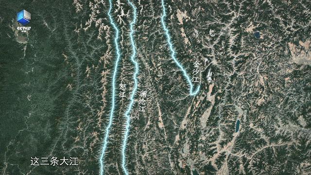 太养眼了！不能出门的日子，我给孩子找到了几个互联网“眼替”