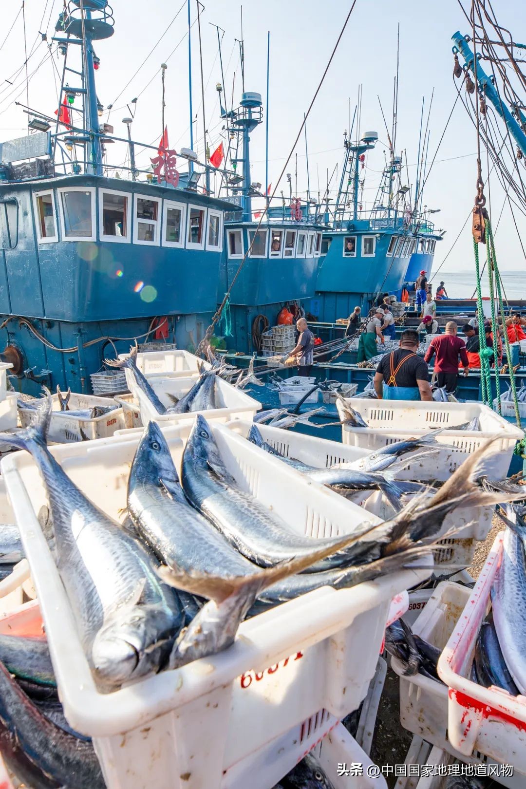 现在的海鲜什么比较好吃,中国哪的海鲜比较好