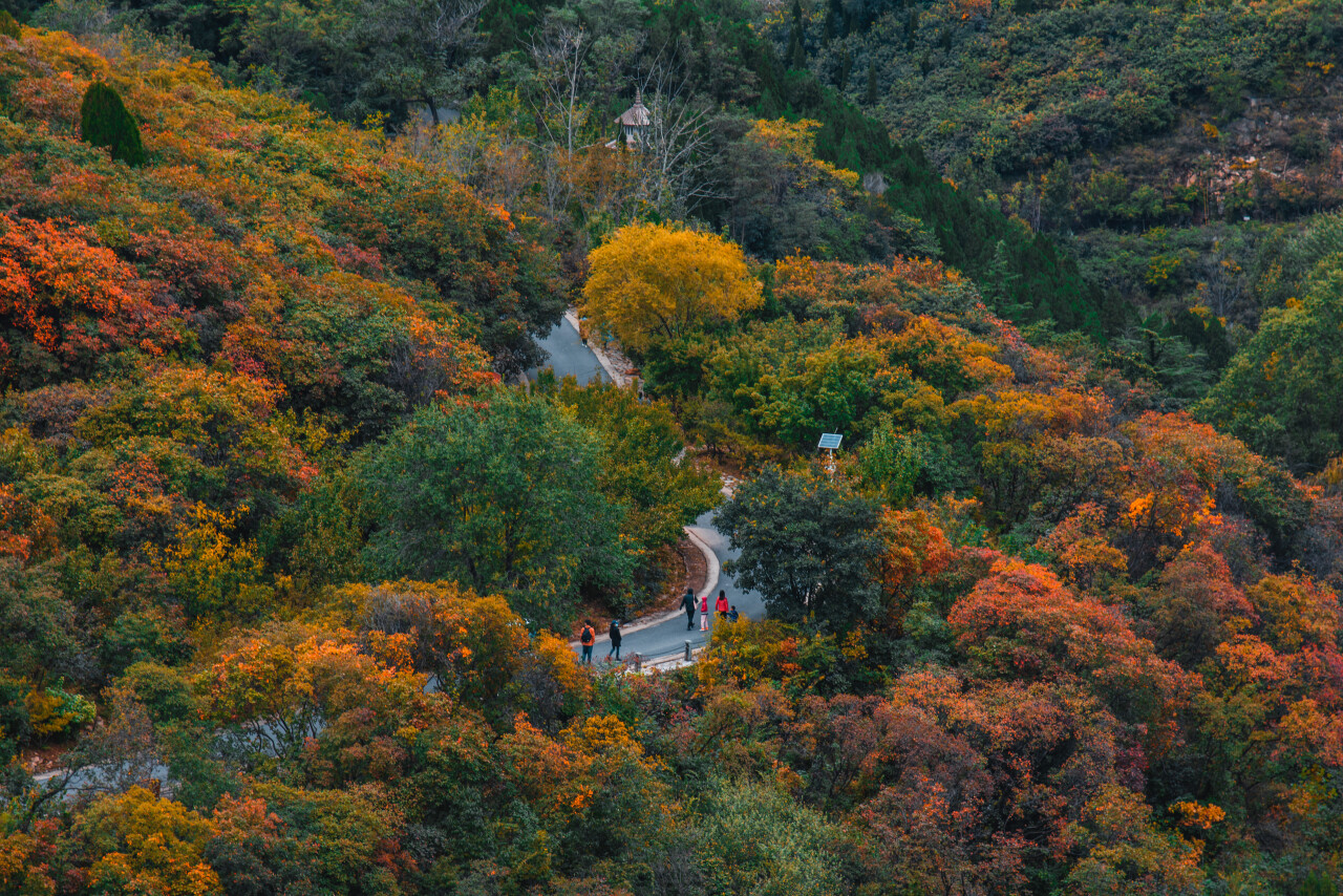 济南美景打卡地秋冬,济南冬天小众宝藏旅行地