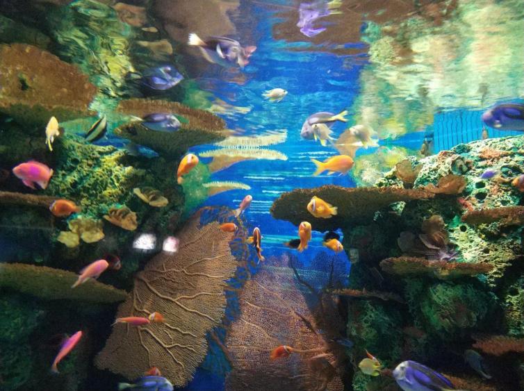 河北出发带孩子自驾游路线推荐,天津河北周边自驾游二日游攻略