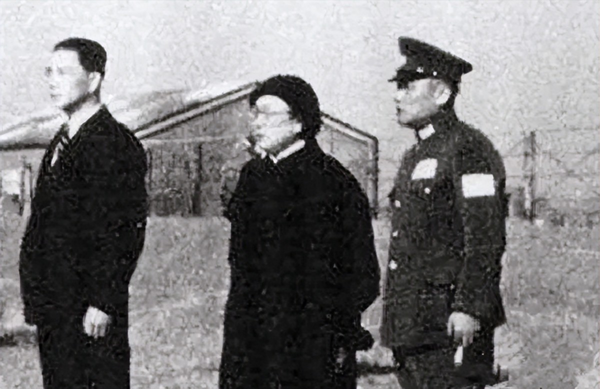 宋庆龄为汪精卫妻子请求赦免，毛主席当即同意，但提了个要求