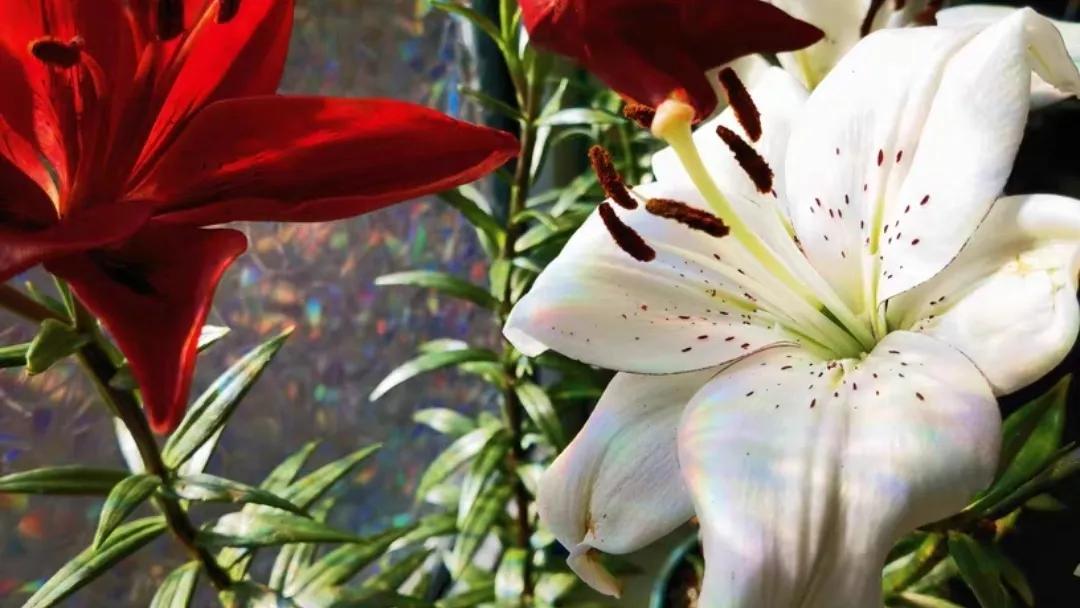 两年前的华为mate10还值得买吗,华为mate10在23年还值得买吗