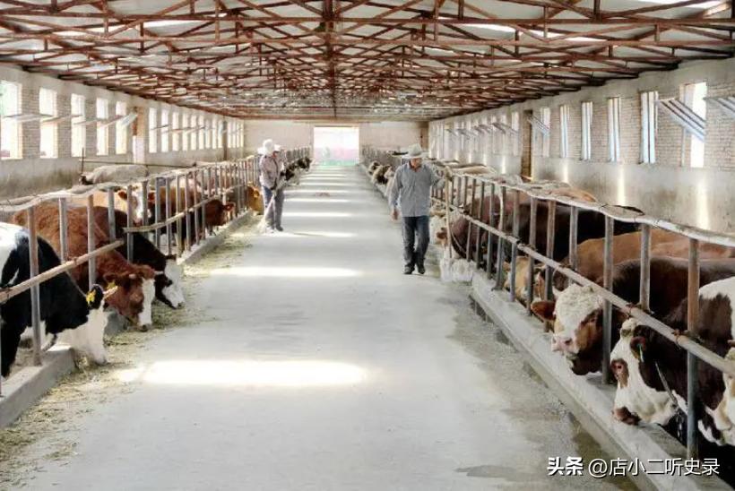 四川6岁女孩被拐,后遭毒打睡棺材旁,自杀未遂被迫嫁人,结局如何?