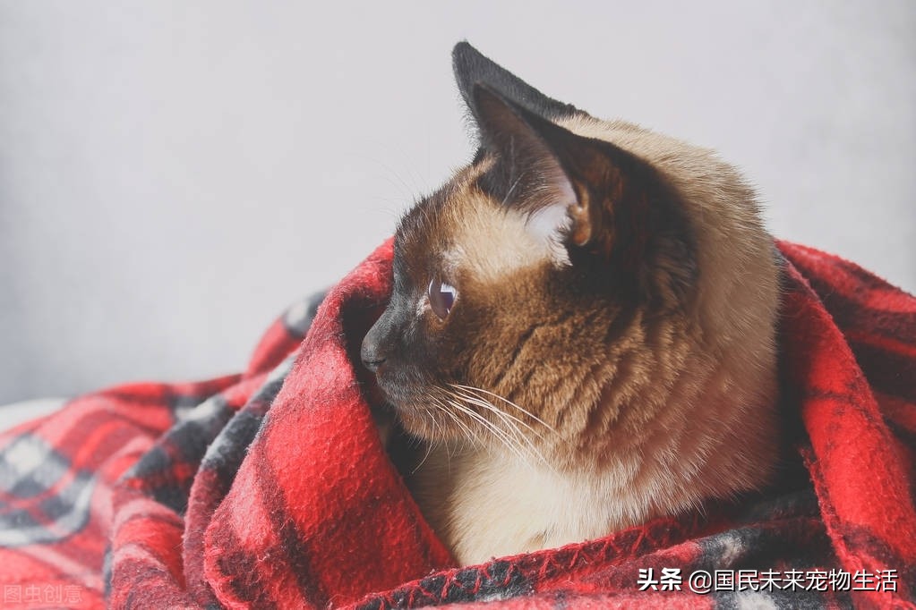 鐚挭鍙戞儏浜嗗彲浠ユ礂婢″墐姣涘悧,鍏尗鍜墐姣涘悗鍙戞儏鎬庝箞缂撹В