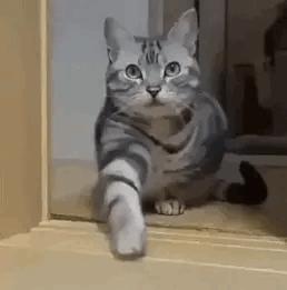 每日一笑：这个测试能说明什么？就这样怼十个手机都得破吧？