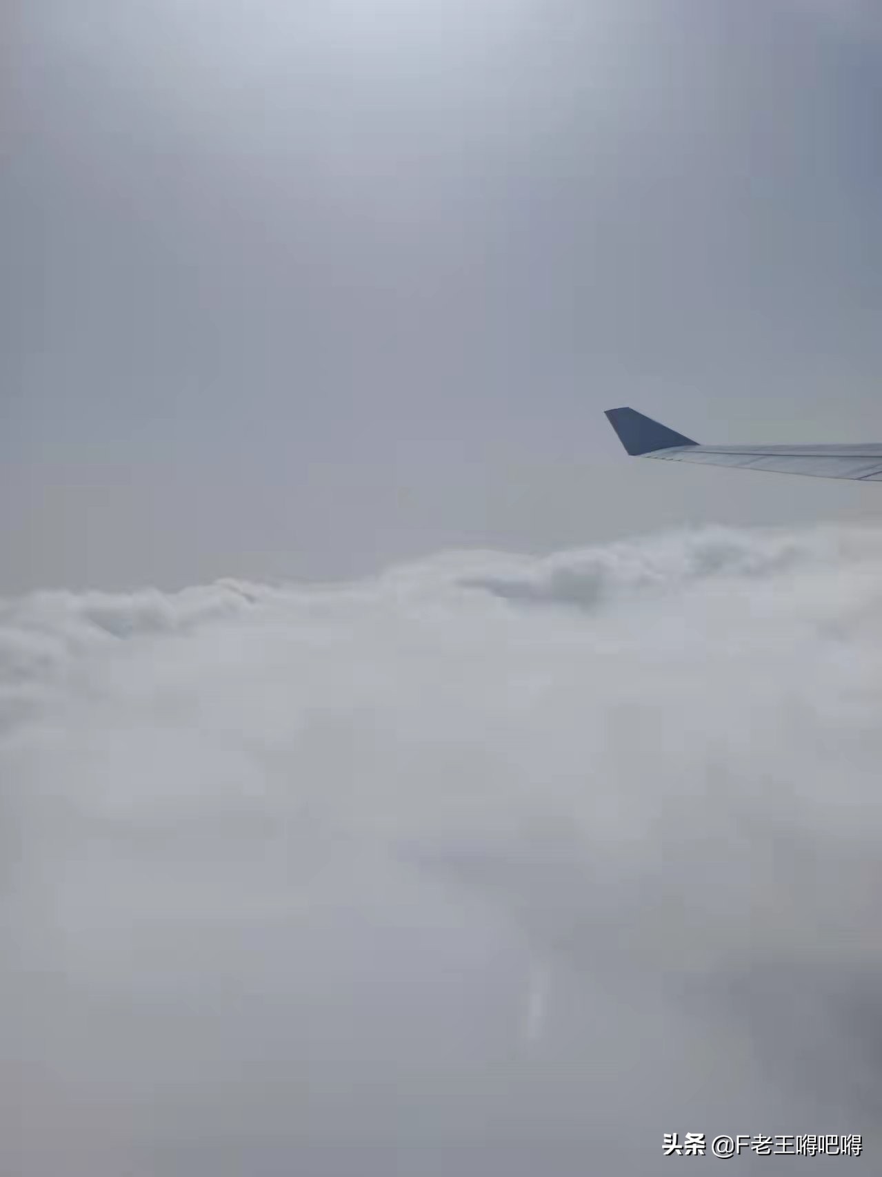 日本拟放宽入境限制,日本入境最详细流程