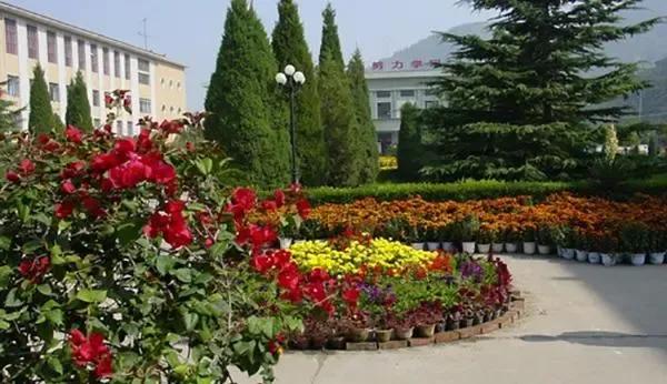 三年级美丽的校园300字优秀作文,美丽的校园作文500字左右五年级