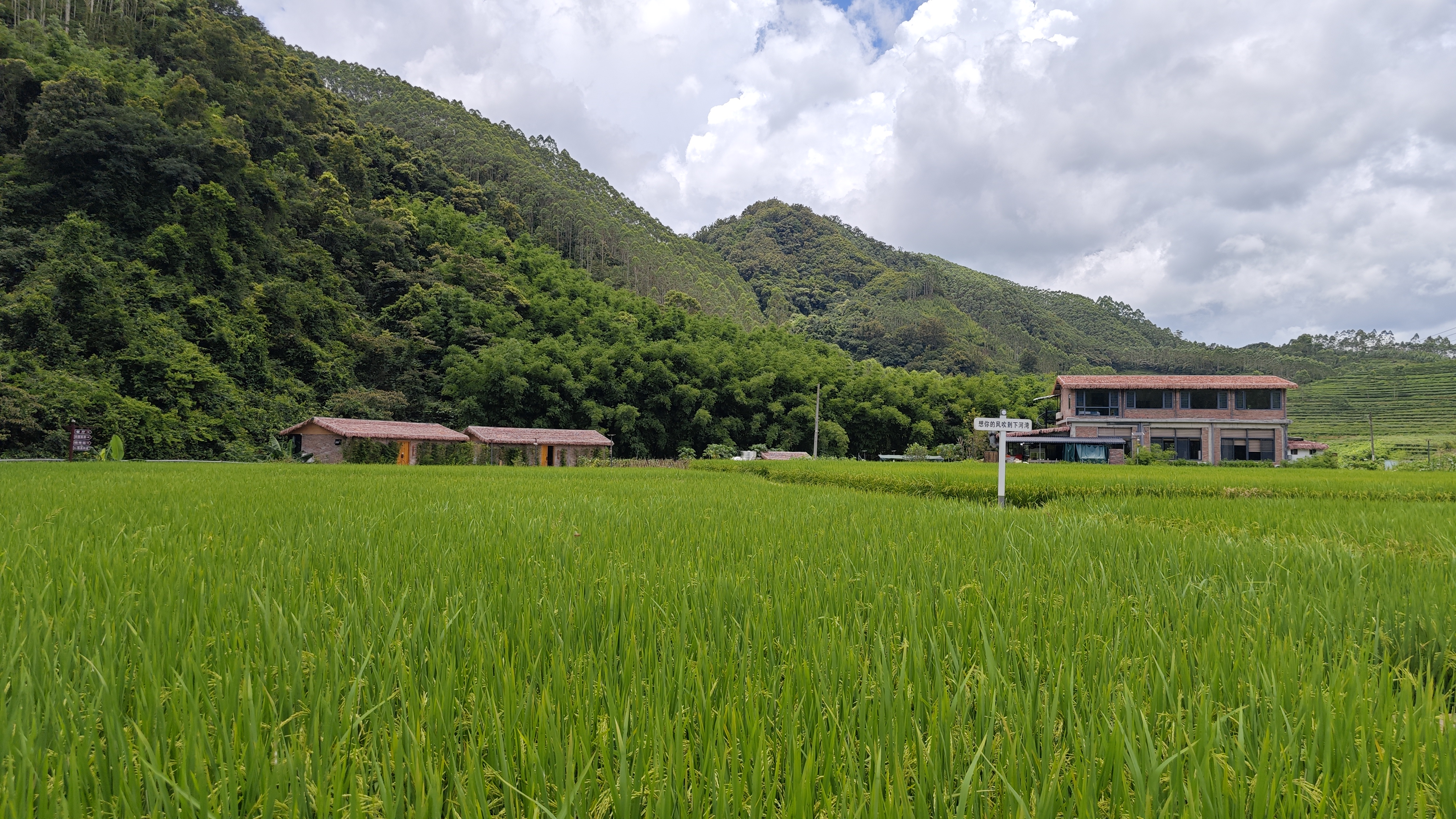 罗浮山温泉品质特色民宿推荐,惠州罗浮山脉下的乡野秘境民宿