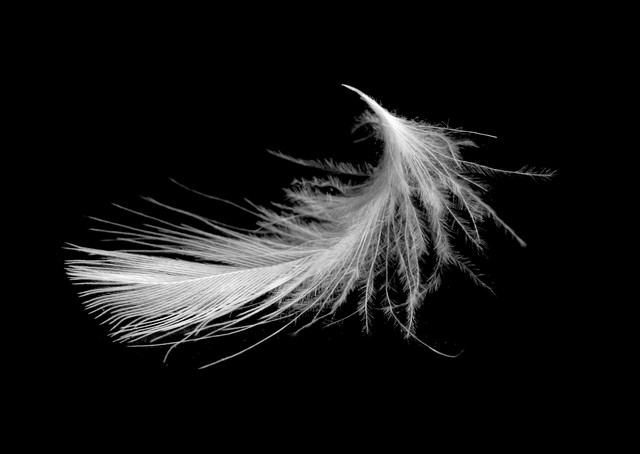 欧洲有哪些奇葩行为,欧洲生育观念