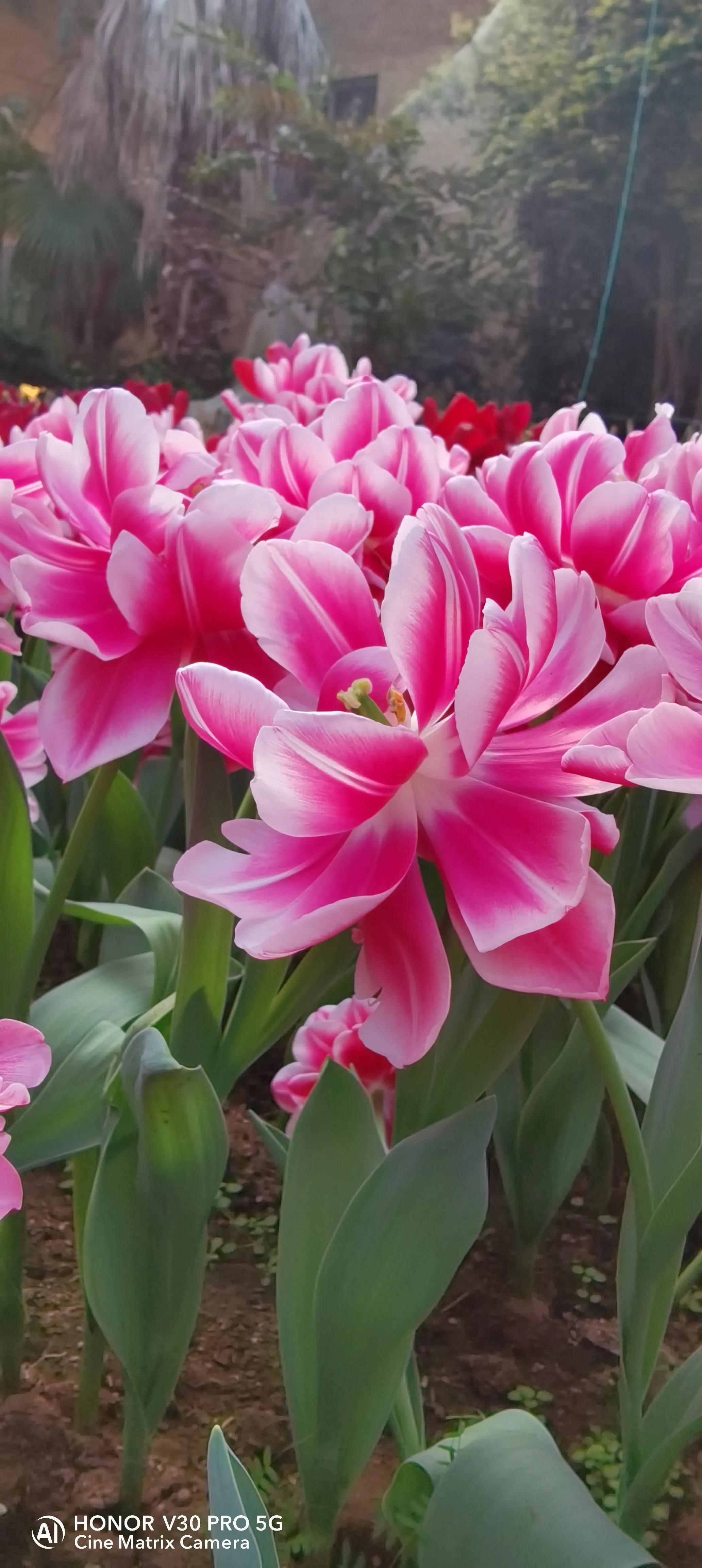 吹牛要交税多少,吹牛要不要交税