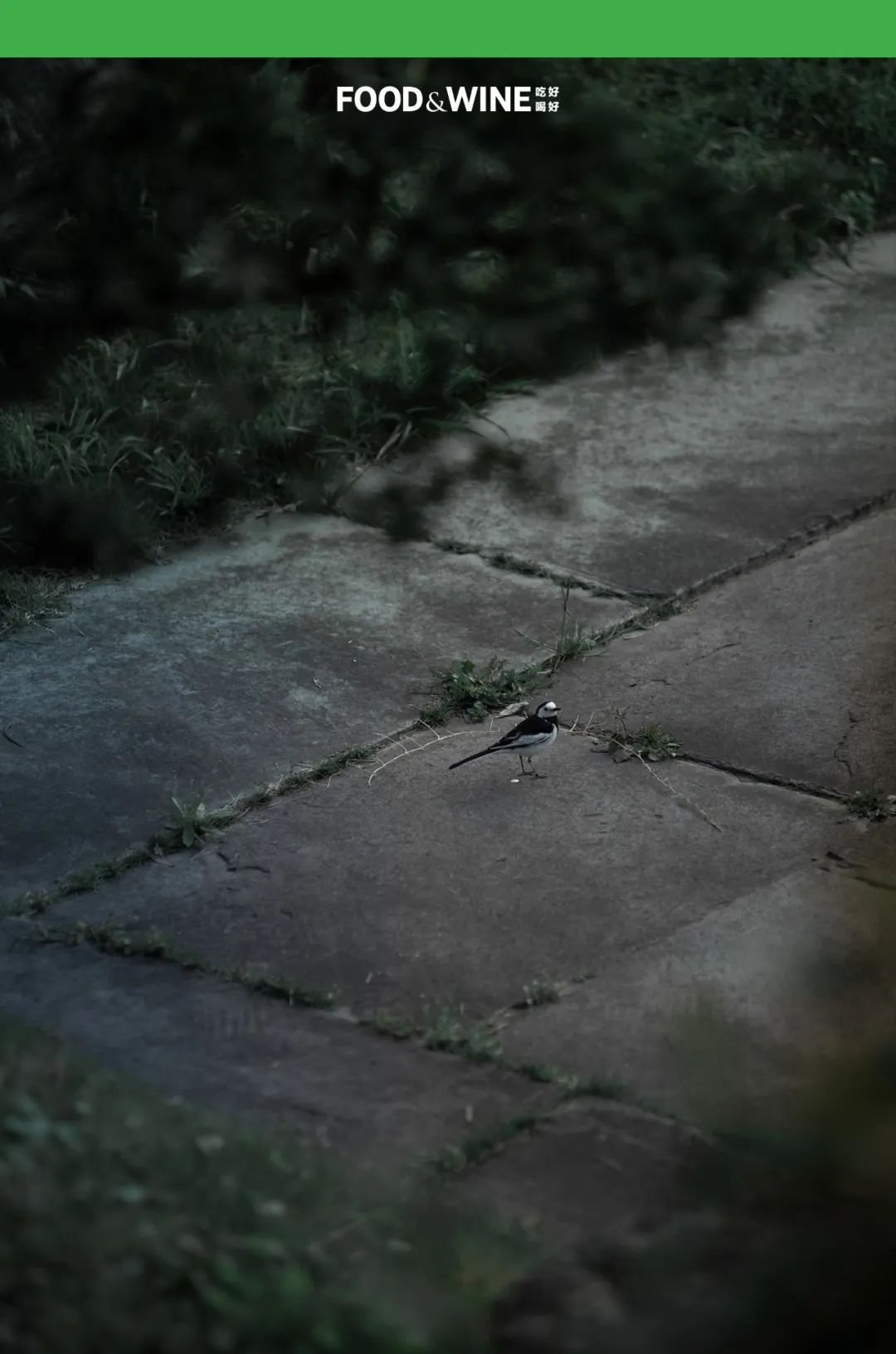 鏅痉闀囧搴欏悆鏂嬮キ,涓囧绂呭鏂嬮キ