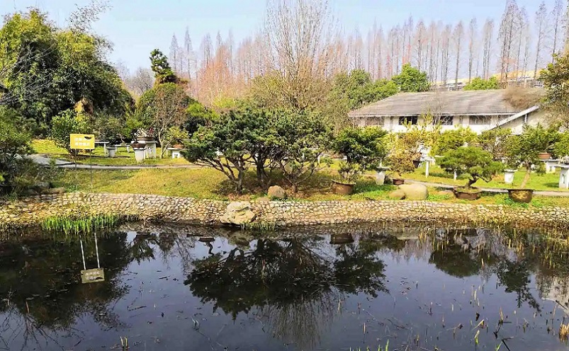 12月南京有哪些免费景点,南京市民免费旅游景点