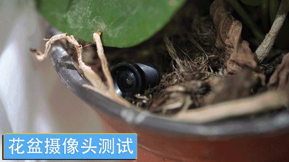 酒店的摄像头一般都在哪里,酒店里最难找到的摄像头在哪里