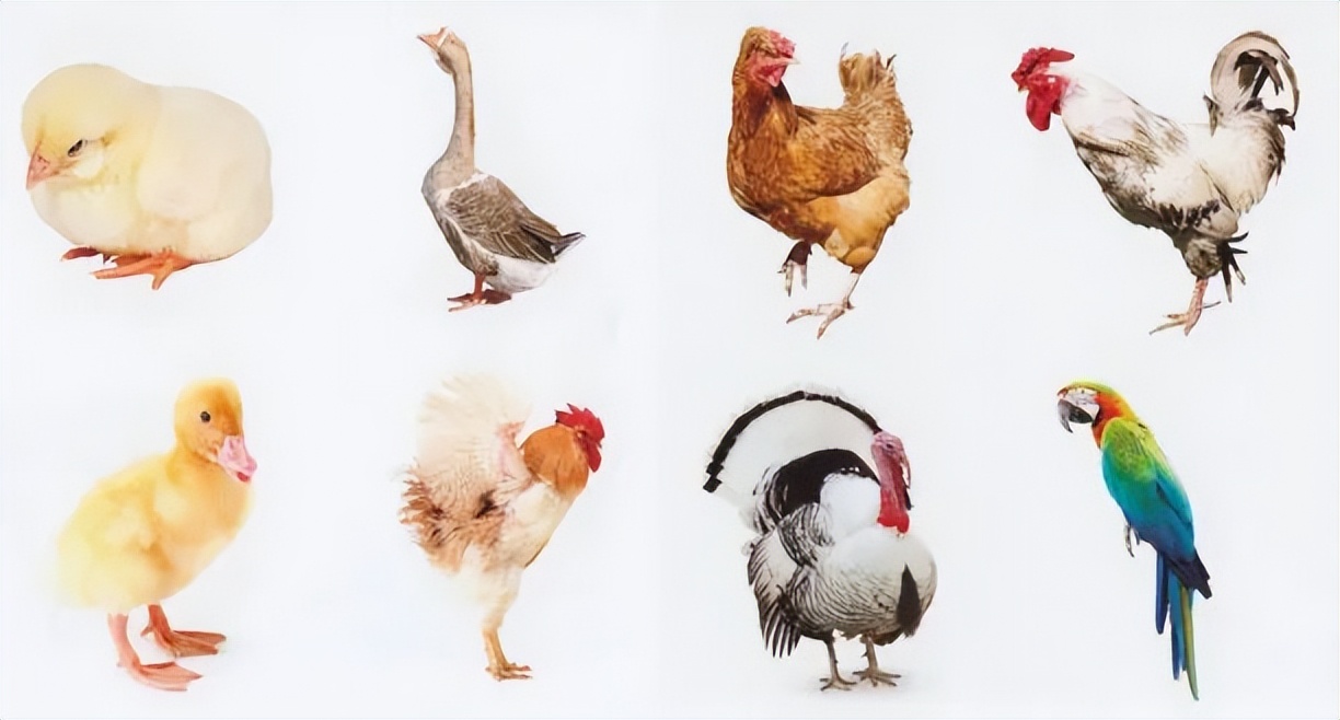 速写人物素材100例,速写照片1000例