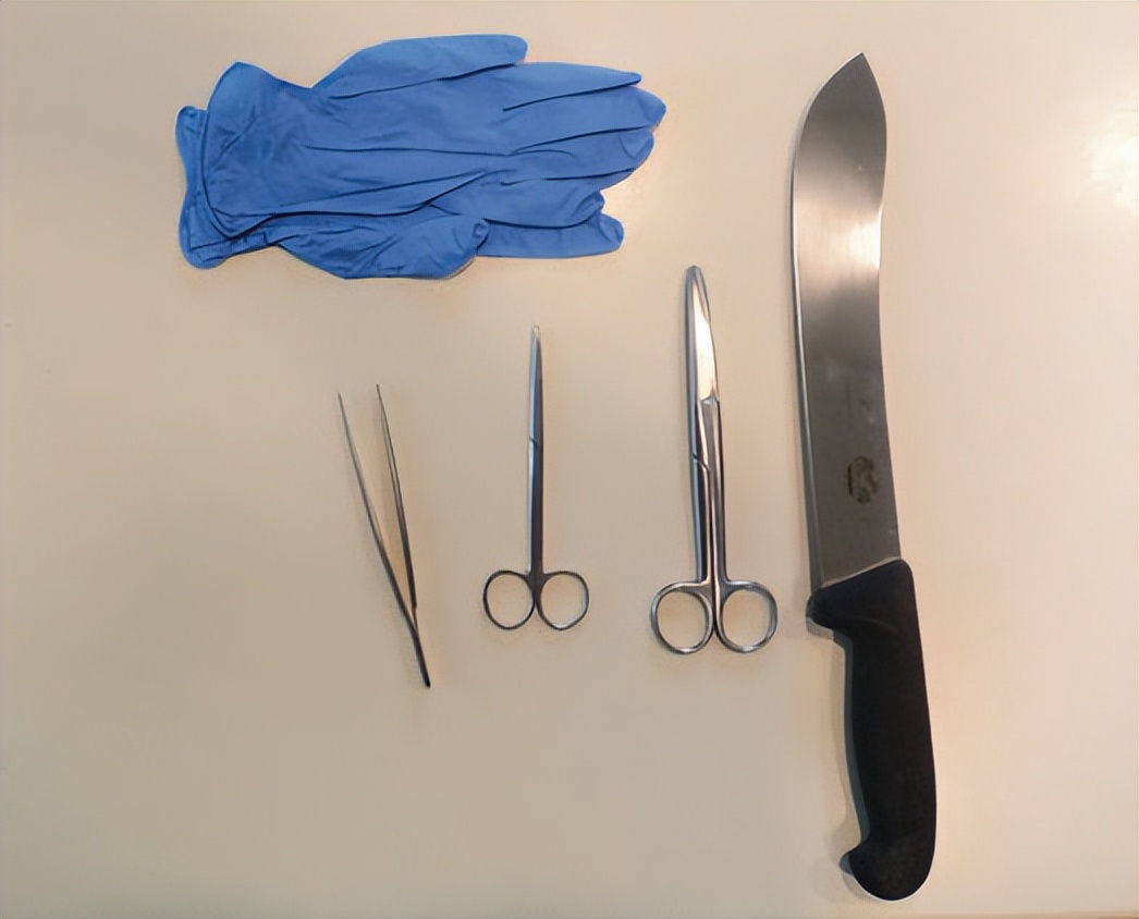 郑州禽病检测实验室,禽病监测诊断技术原理与方法视频