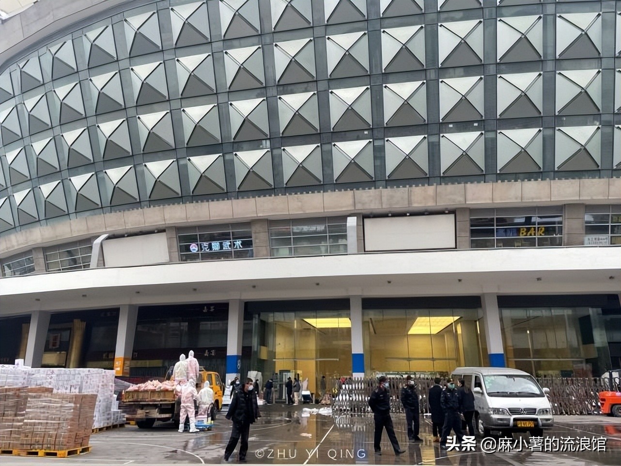 虹口足球场樱花,虹口足球场樱花开在什么地方