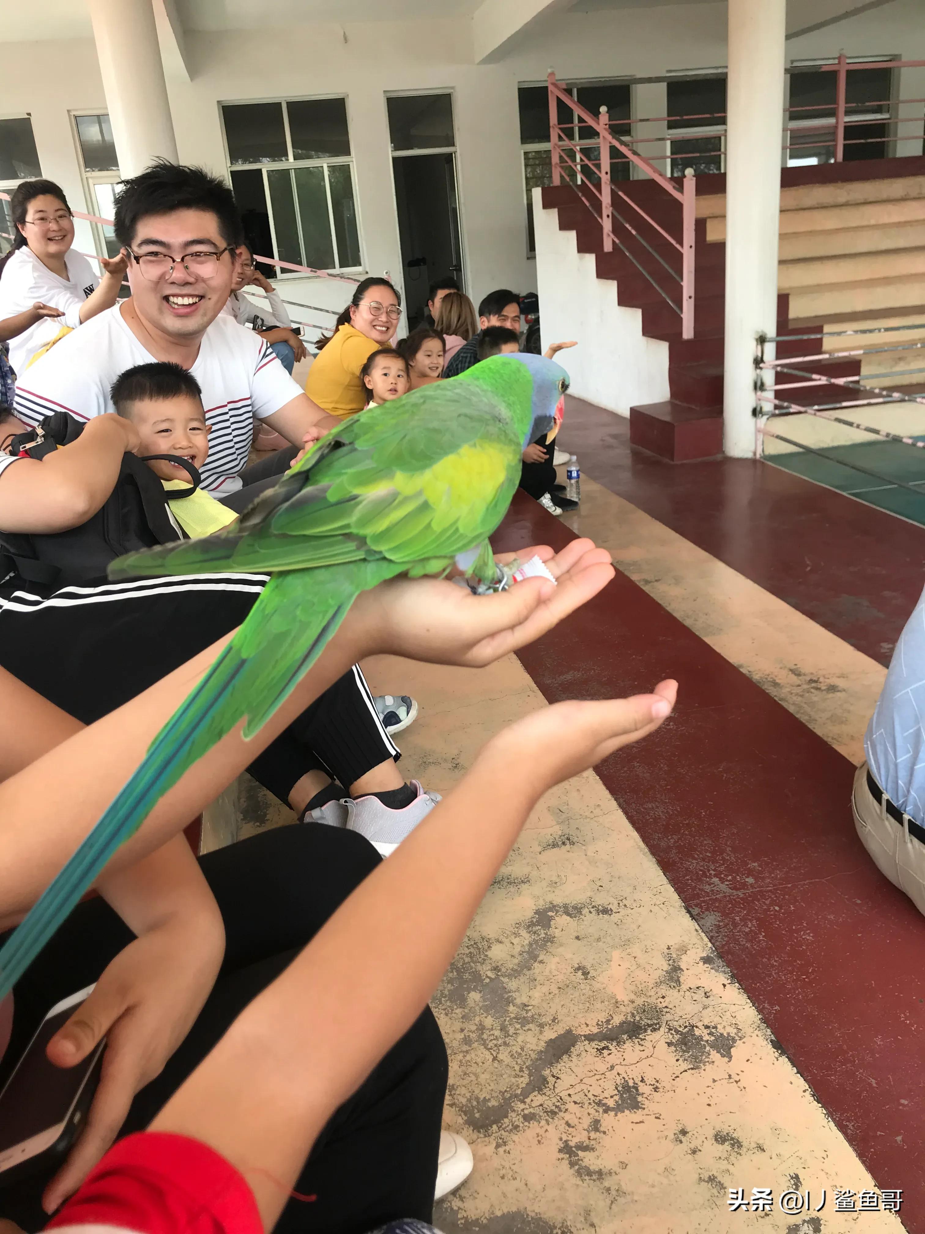 安泰宫哪里最好玩,安泰有哪些系列