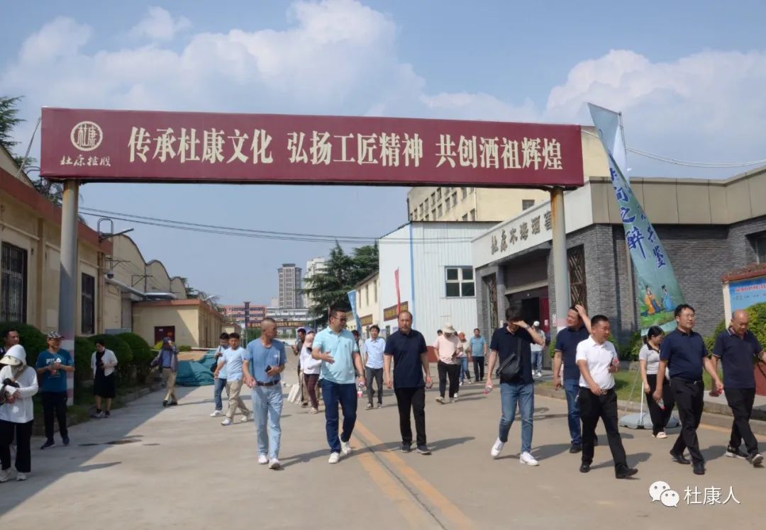 杜康酒厂车间参观,杜康酒厂参观纪念酒品鉴视频