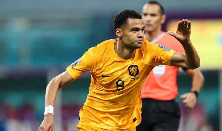 森保一卡塔尔世界杯,2018年世界杯森保一