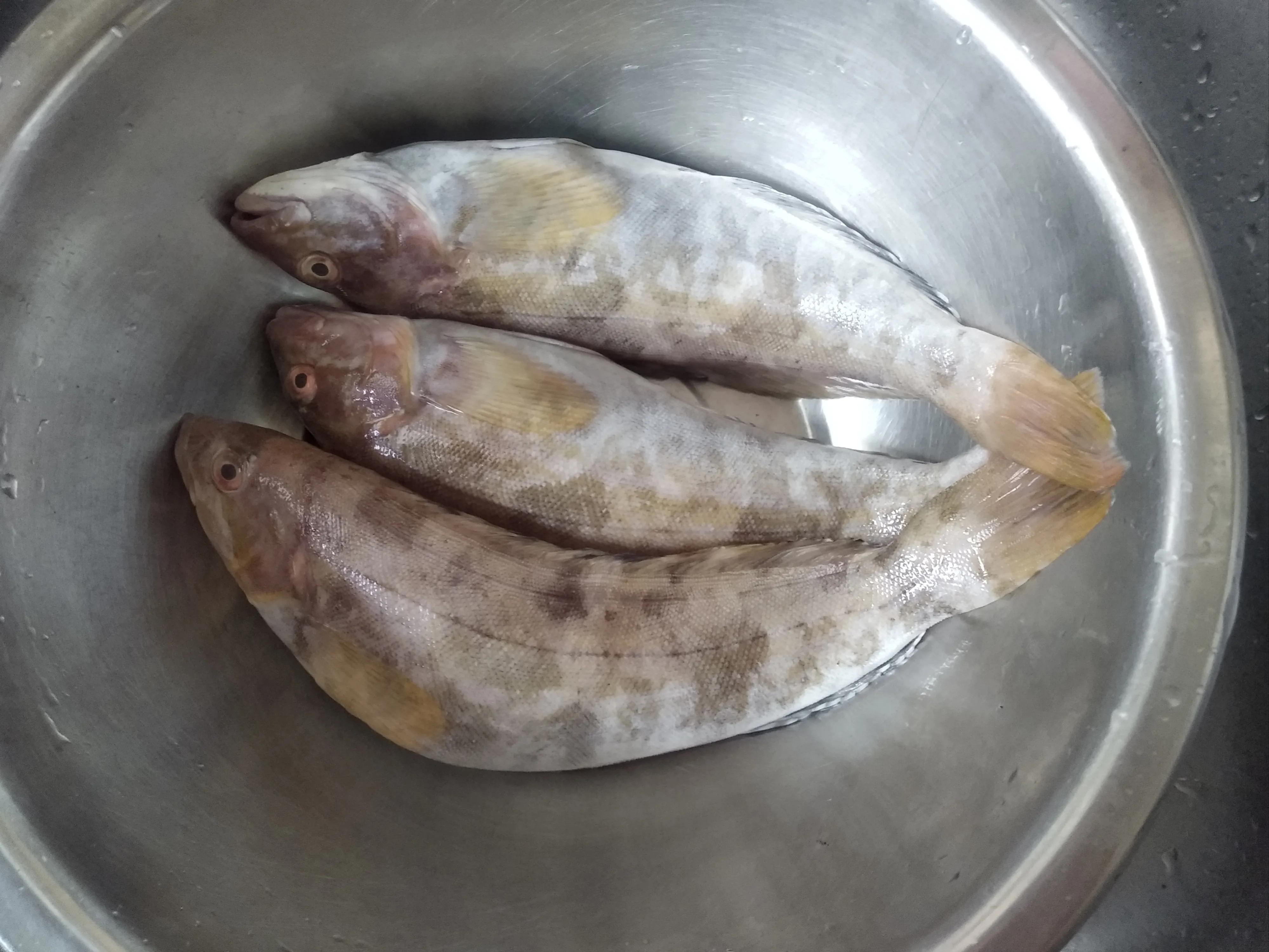 15种常见的海鱼,100种常见食用海鱼图谱