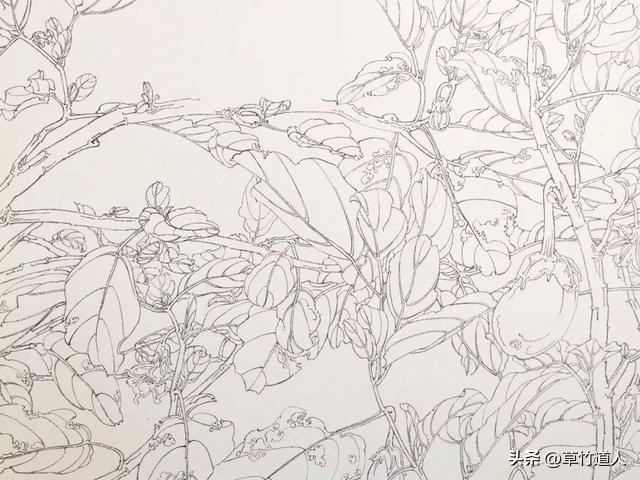 绘画艺术形象及其审美意义,中国绘画的审美特点4字