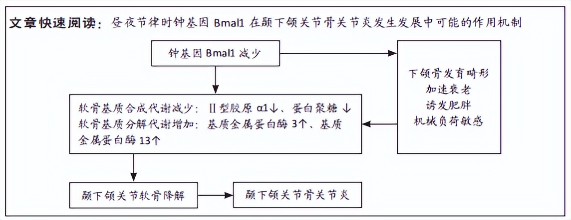 閽熸皬鍩哄洜鏍囪,閽熷鍩哄洜