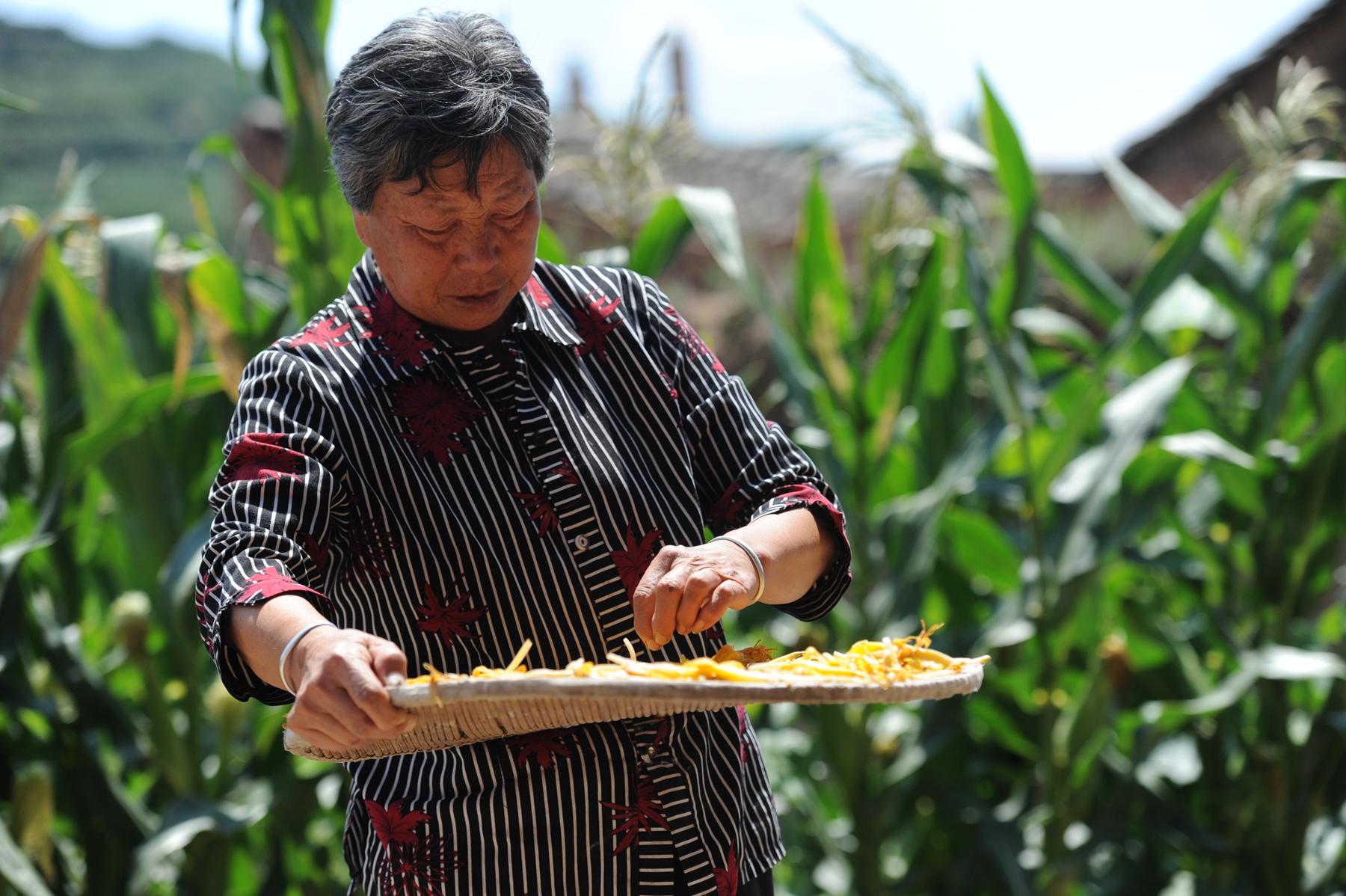 老人脑萎缩怎么办教你一招恢复,老年人脑萎缩最有效的方法