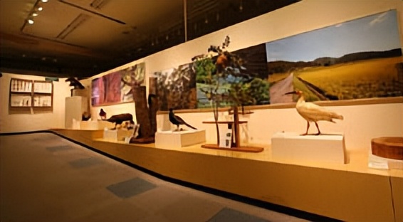 广岛大学位置,广岛大学简介