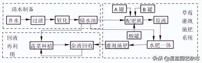 关注｜可升降的观光型草莓吊架，你见过吗？