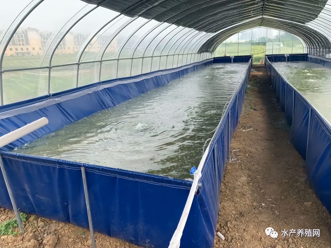 帆布池养殖加盟套路,帆布池养殖风险分析