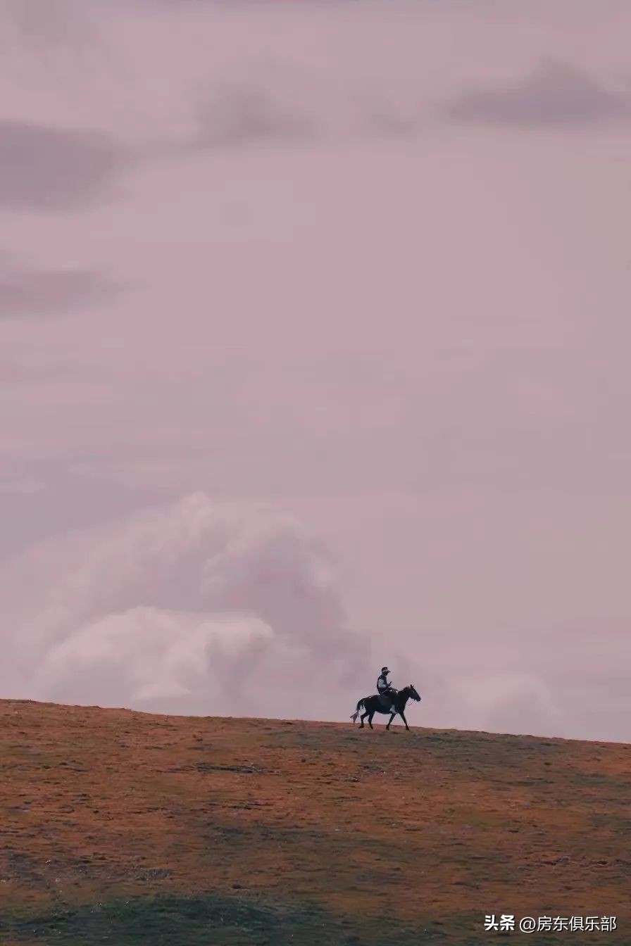 郑州二手房下跌原因,郑州二手房下跌趋势