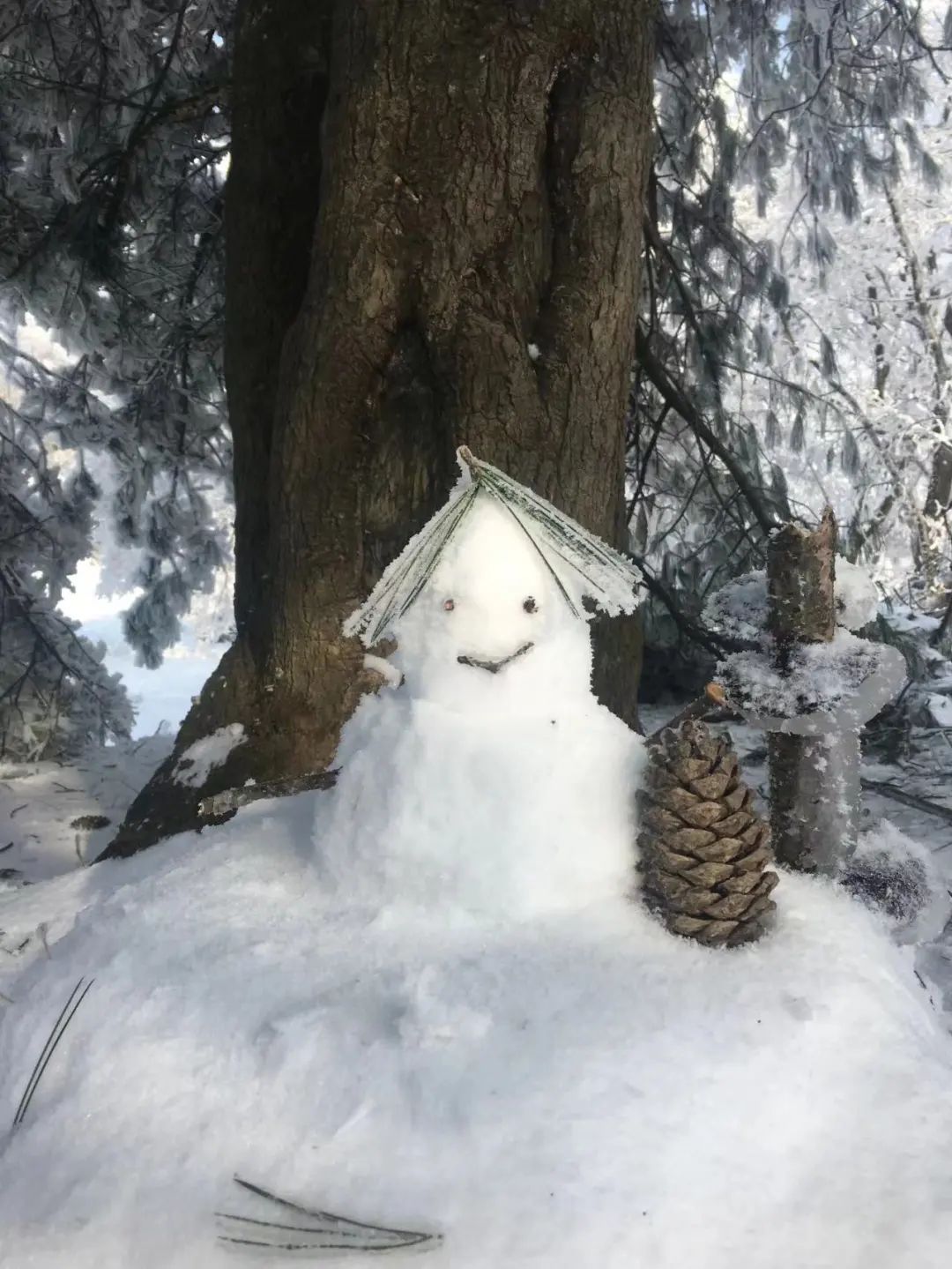 想看北国风光？不用去东北，看广元的林海雪原，邂逅一场冰瀑奇缘