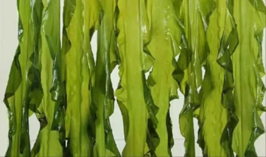 鎶ュ悕鎶栭煶鐢靛晢娲诲姩,鎶ュ悕鎶栭煶鐢靛晢瀹樻柟娲诲姩濂藉