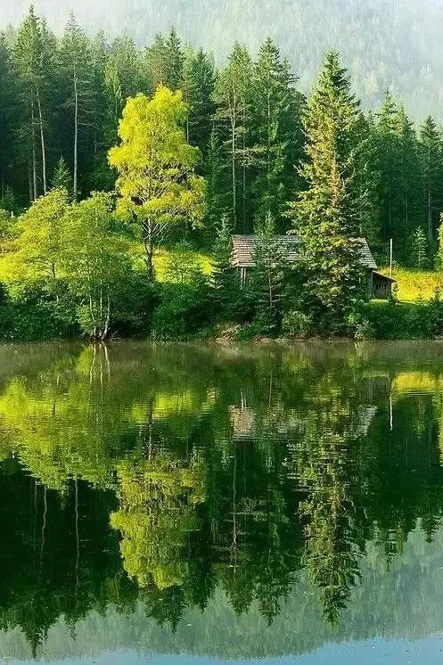 自然而然才是顺其自然,顺其自然随遇而安随性洒脱