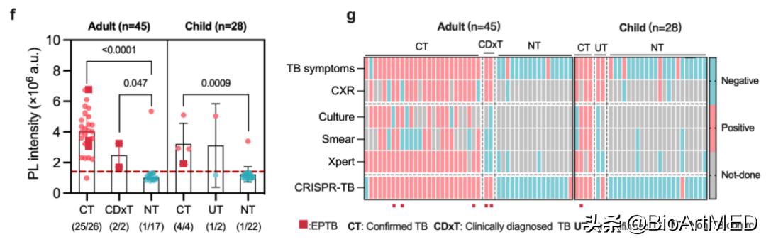 crispr诊断技术综述,crispr检测是什么
